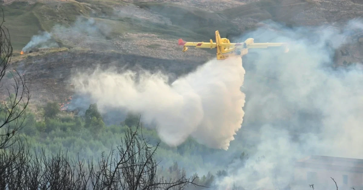 Incendio boschivo a Montevago: canadair ed elicottero in azione per spegnere le fiamme su 30 ettari di bosco
