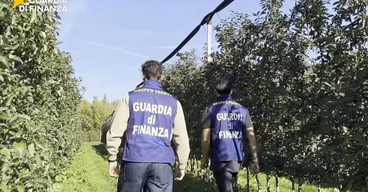 Trentino, sequestro da 790 mila euro a un imprenditore agricolo per sfruttamento e truffa
