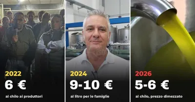 Prezzo dell'olio, da 6 a 10 euro e poi il crollo: la storia dal 2022 a oggi nel territorio di Sciacca
