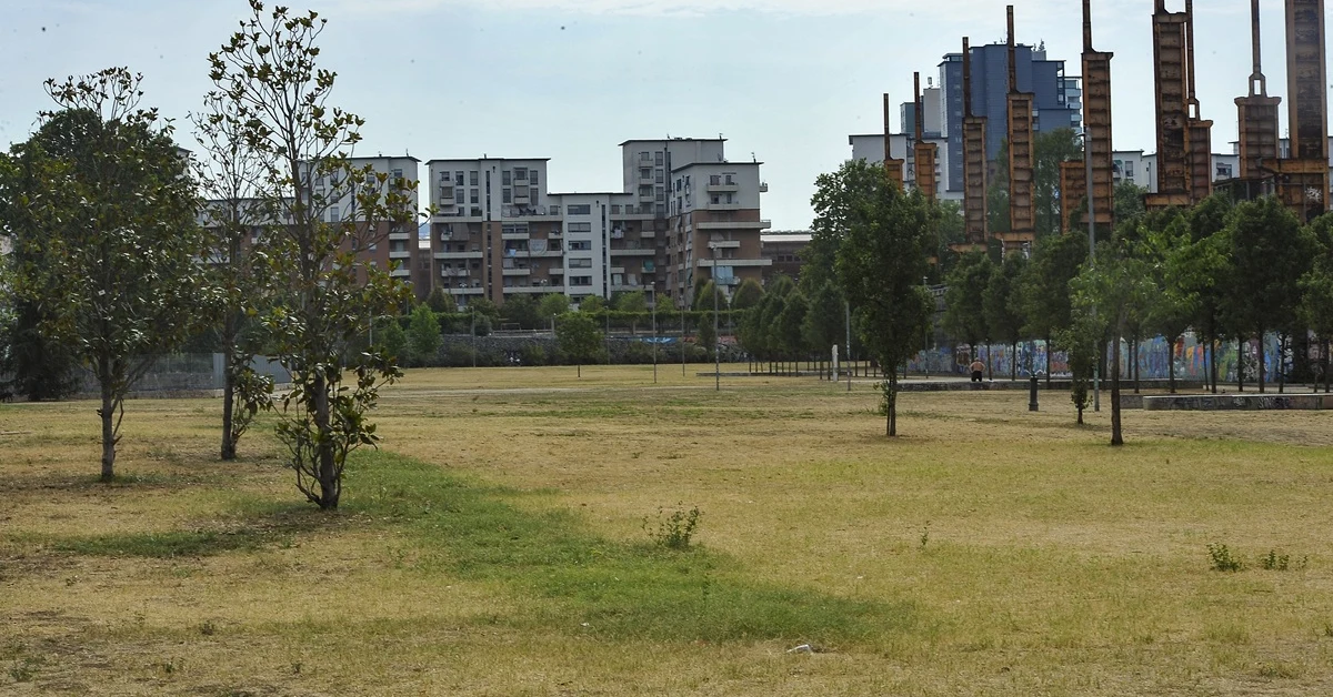 Parco Dora a Torino, area verde teatro dell'accoltellamento mortale di un ventenne