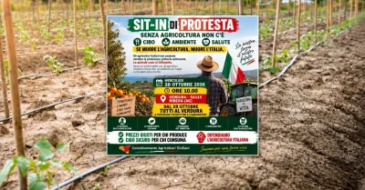 Agricoltura in crisi, mercoledì protesta sulla statale 115 vicino al fiume Verdura
