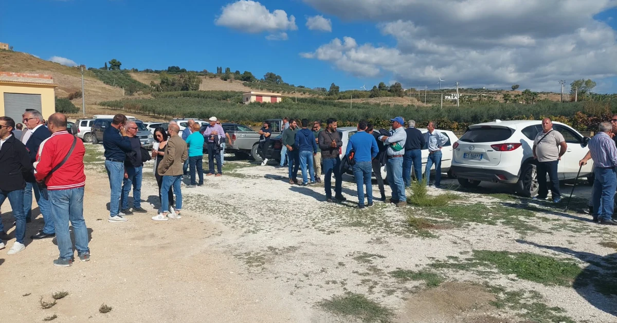 Agricoltori in sit-in lungo la Statale 115 ad Agrigento per protestare contro il calo dei prezzi dei prodotti agricoli