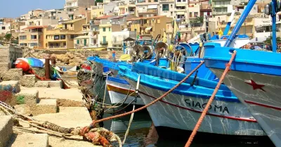 Porto di Marinella di Selinunte, al via gli interventi contro la posidonia: investimento da oltre 500 mila euro