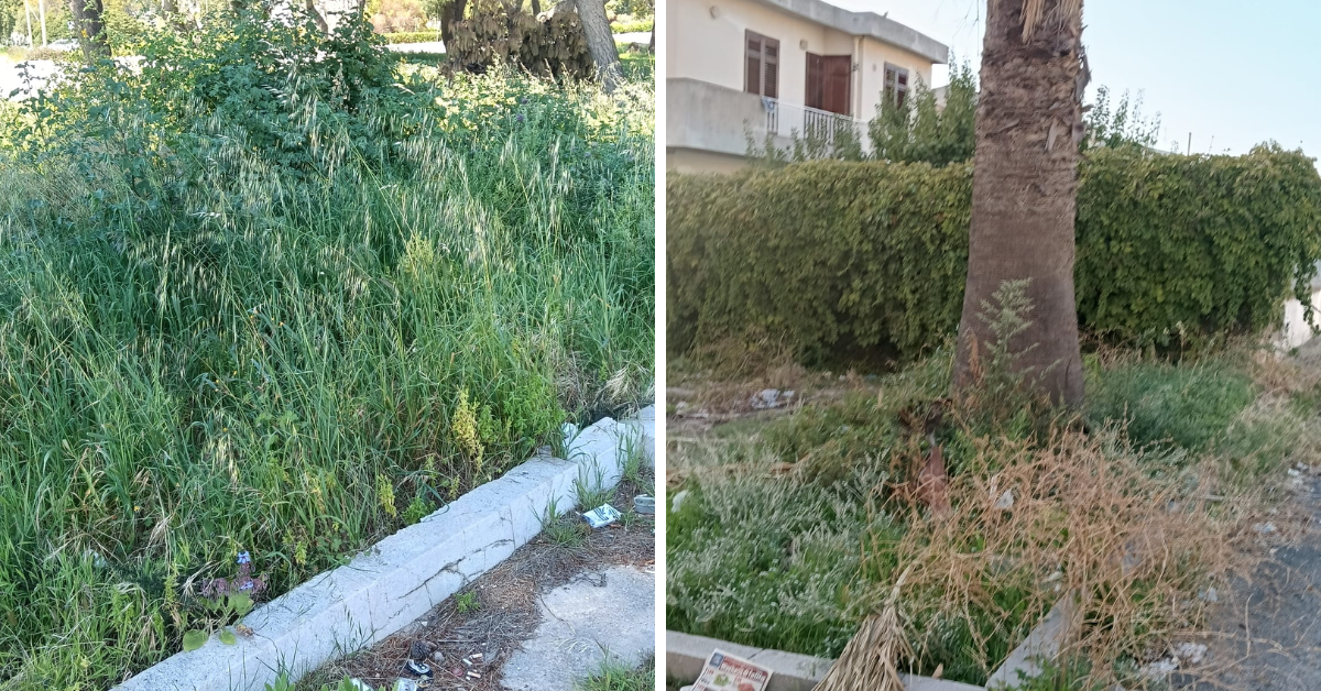Erba alta e incuria nelle aree urbane di Menfi con vegetazione incolta vicino a marciapiedi e abitazioni