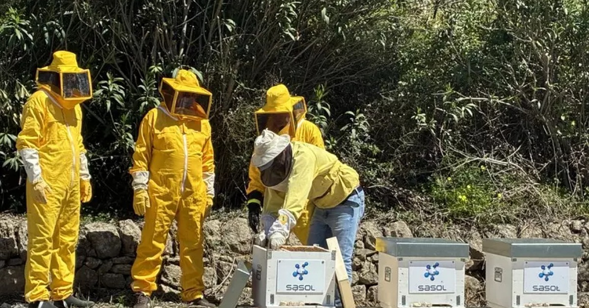 Augusta, apiari nello stabilimento Sasol: al via il progetto per la biodiversità