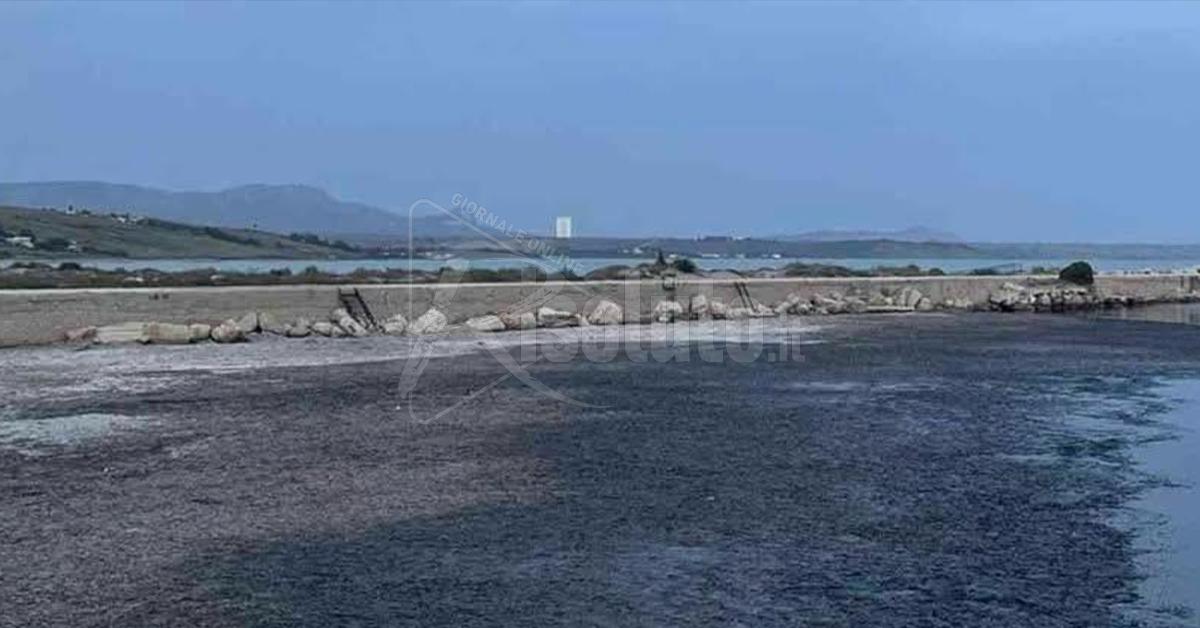 Posidonia, il sindaco di Menfi sollecita interventi sul porto: “Pronti a iniziative pubbliche”