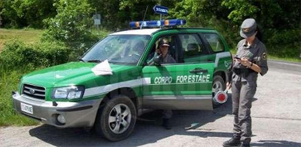 Sequestro di uccelli protetti nel Palermitano