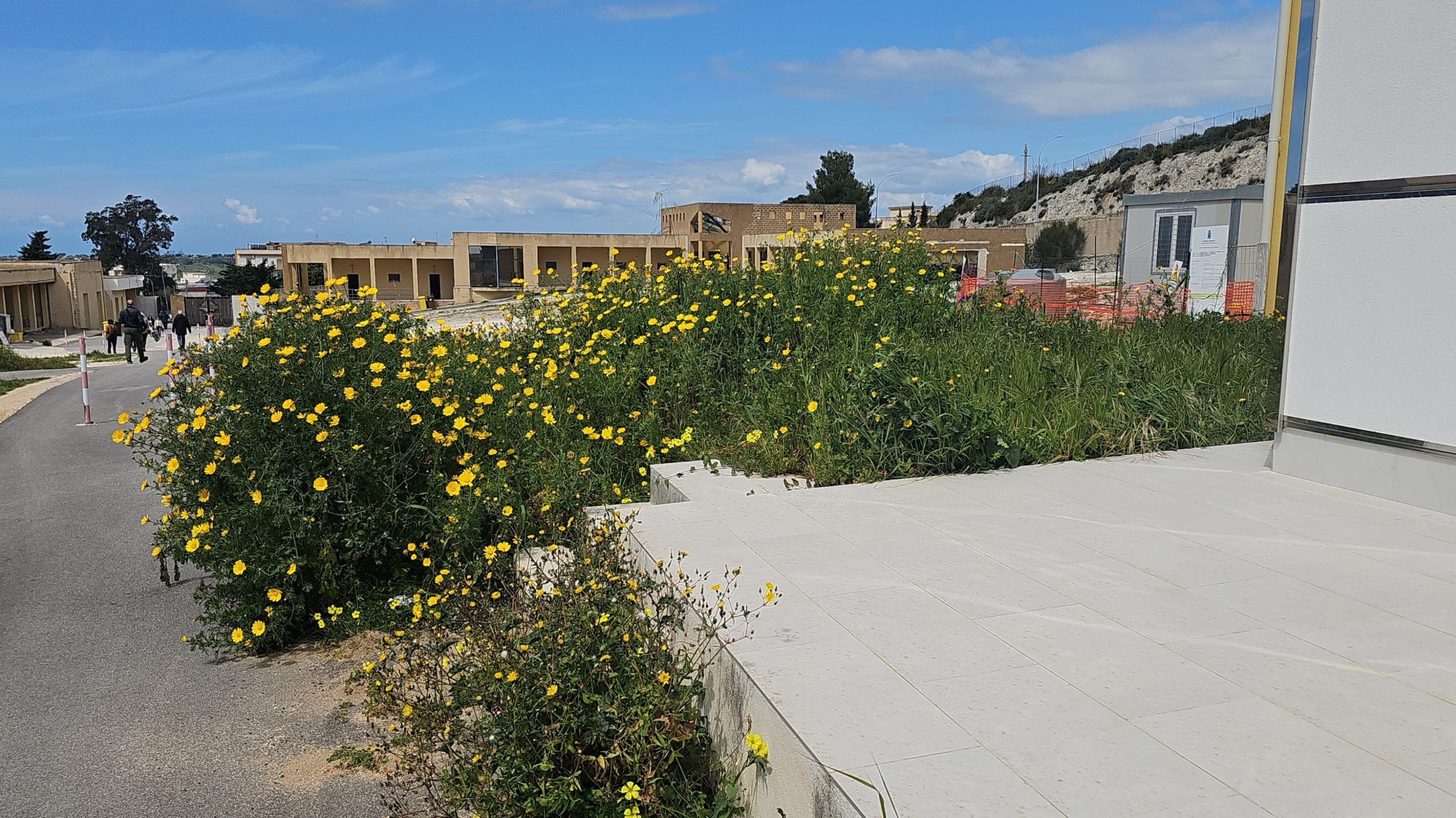 Erbacce e piante alte al cimitero di Sciacca, intervento non previsto nell'immediato