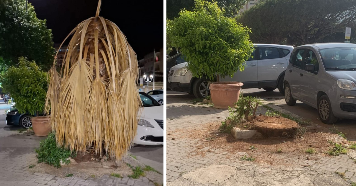 Verde pubblico di Sciacca: denuncia del comitato Sant’Agostino