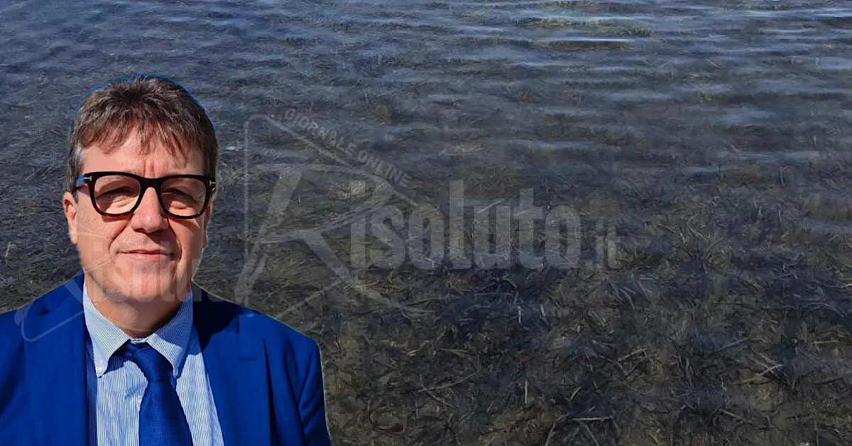 Porto Palo di Menfi, Clemente sollecita la Regione: “Intervento urgente per la rimozione della Posidonia”