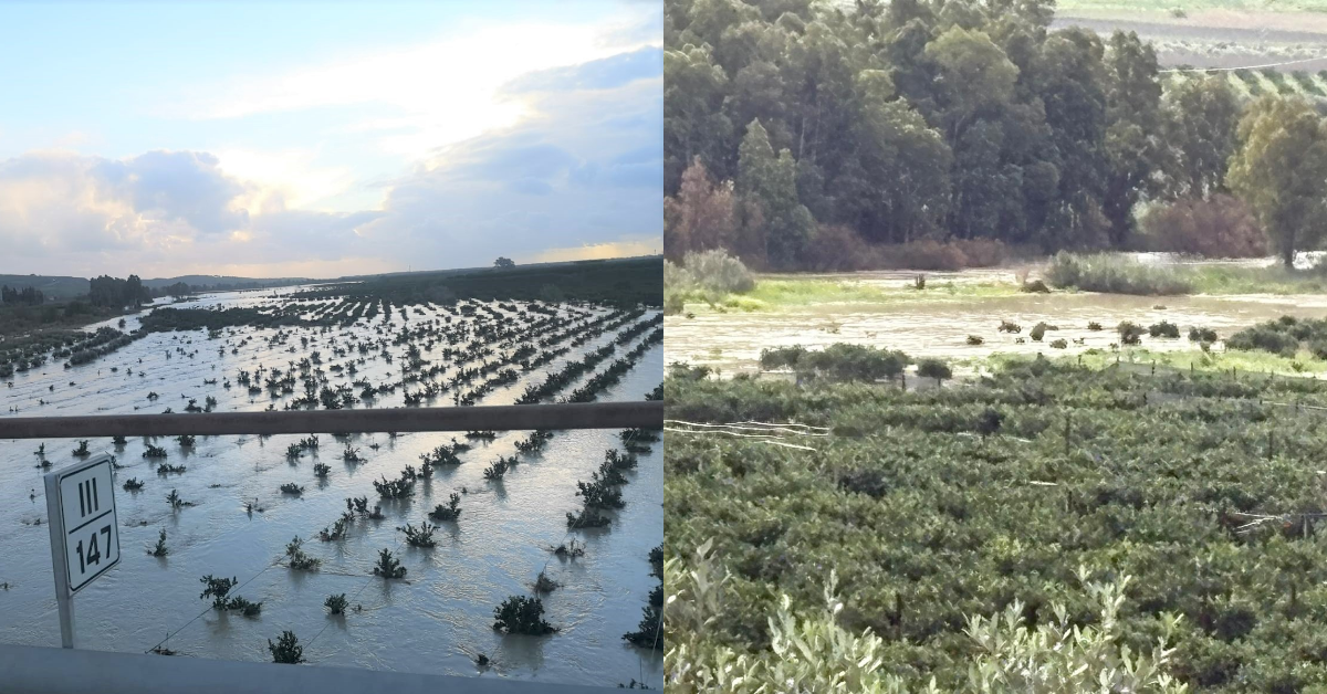 Crisi idrica in Sicilia, l’allarme dei Liberi Agricoltori di Ribera