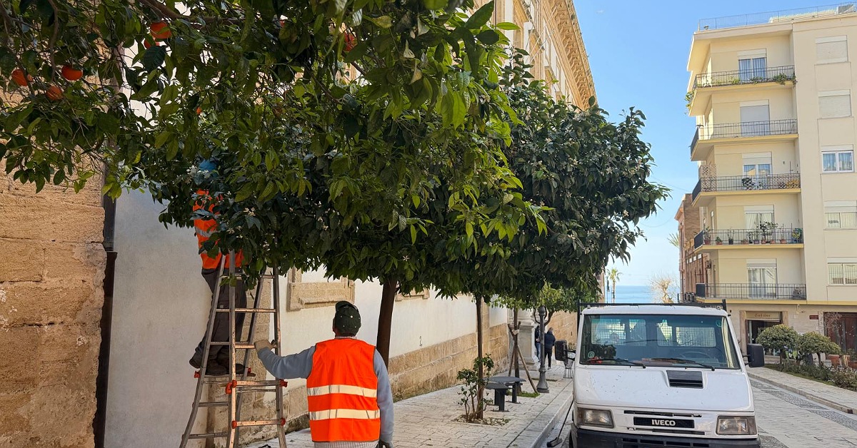 Sciacca, 140 mila euro per la cura del verde pubblico