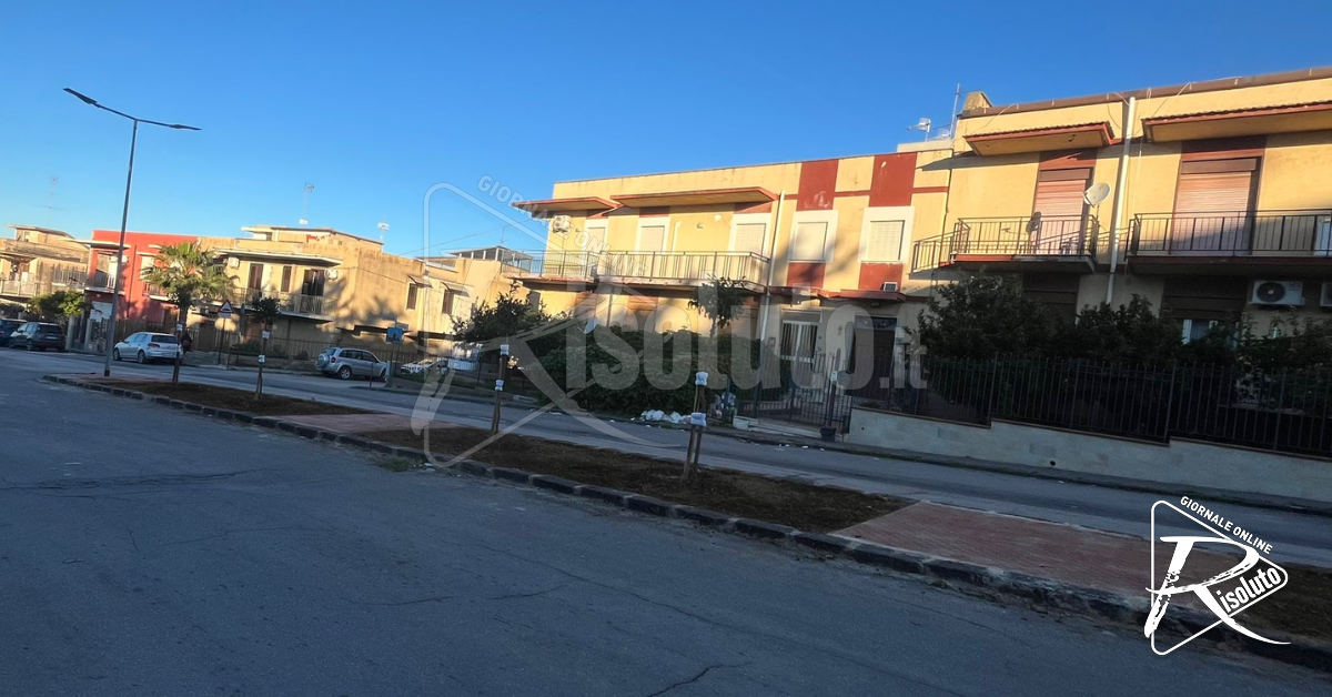 Riqualificazione di via Imbornone a Ribera, nuove piante nello spartitraffico