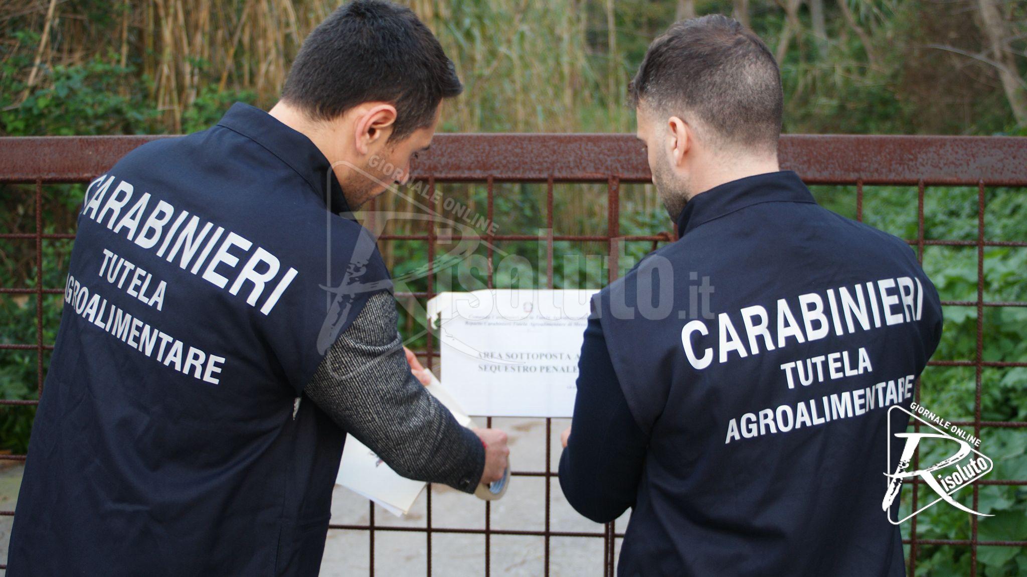 Fondi agricoli Ue, maxi truffa in Sicilia: un arresto, 22 indagati e sequestri per oltre 360 mila euro
