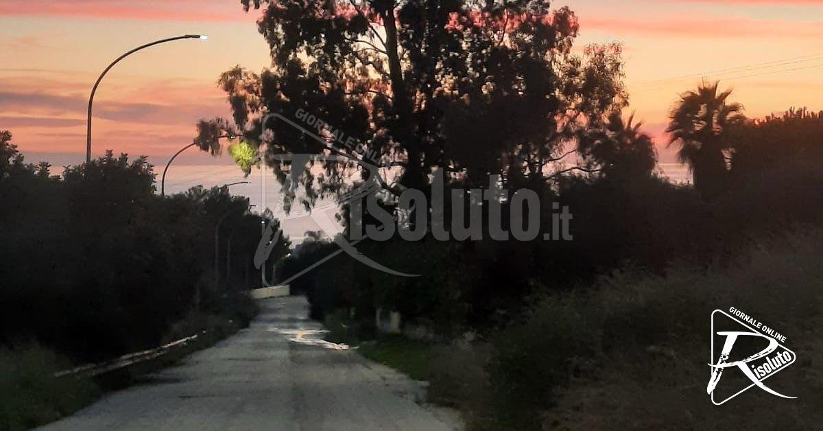 Albero pericolante a Sciacca in via Tacci, interrogazione di Bellanca