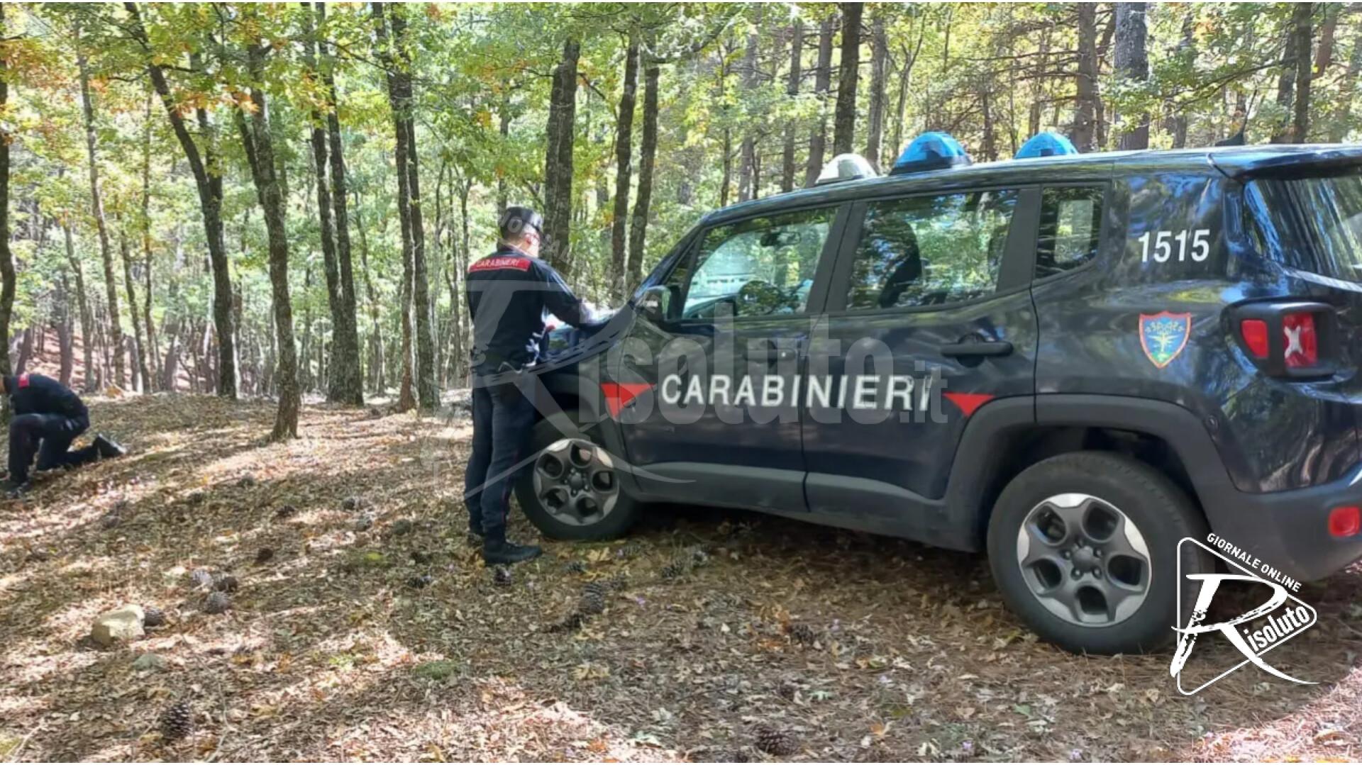 Montagnareale, tre uomini trovati morti in un bosco: uccisi a colpi d’arma da fuoco