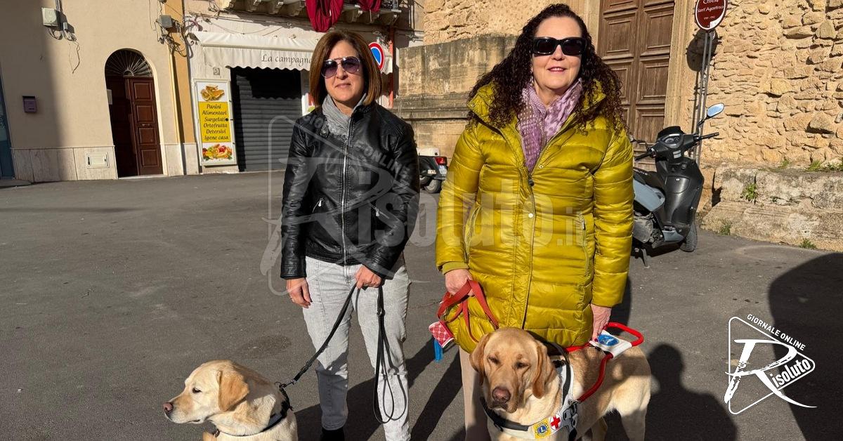 Non vedenti con cane guida a Sciacca: "Per noi disagi enormi in centro" (Video)
