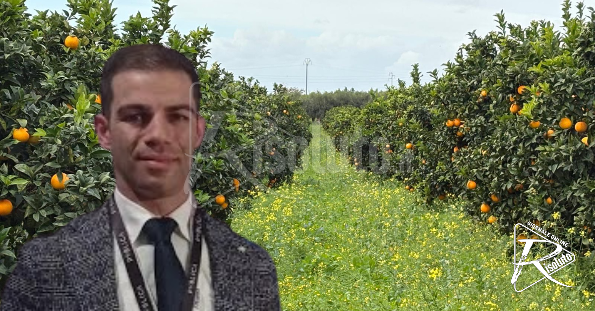 Ciclone Harry, agrumeti distrutti a Burgio e agricoltura in ginocchio