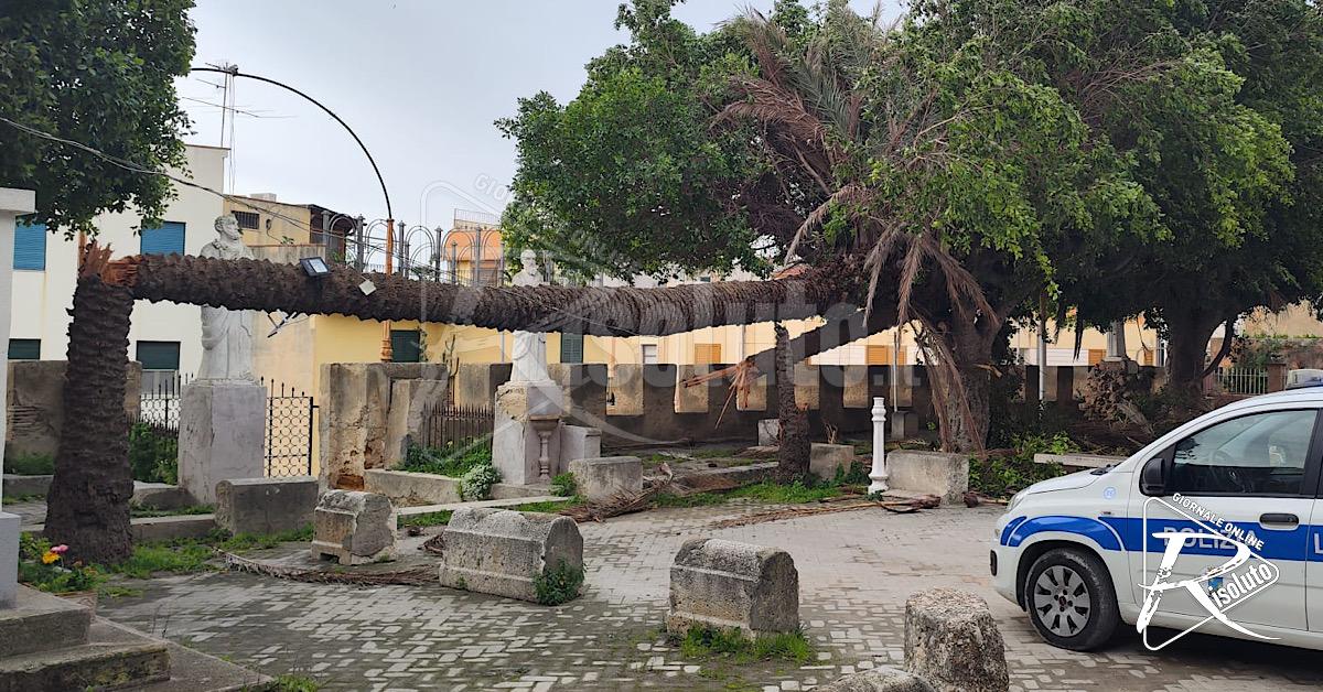Il vento abbatte due palme nell’atrio Valverde a Sciacca