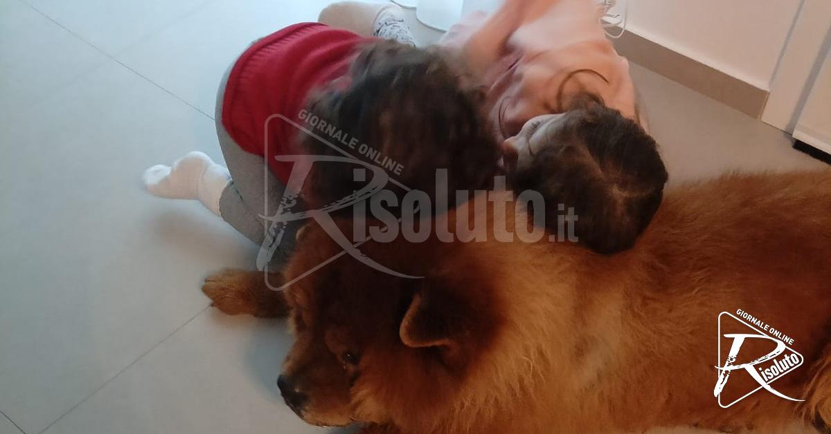 E' tornato a casa il Chow chow Franco, coccole e feste tra le due padroncine a casa Schembri