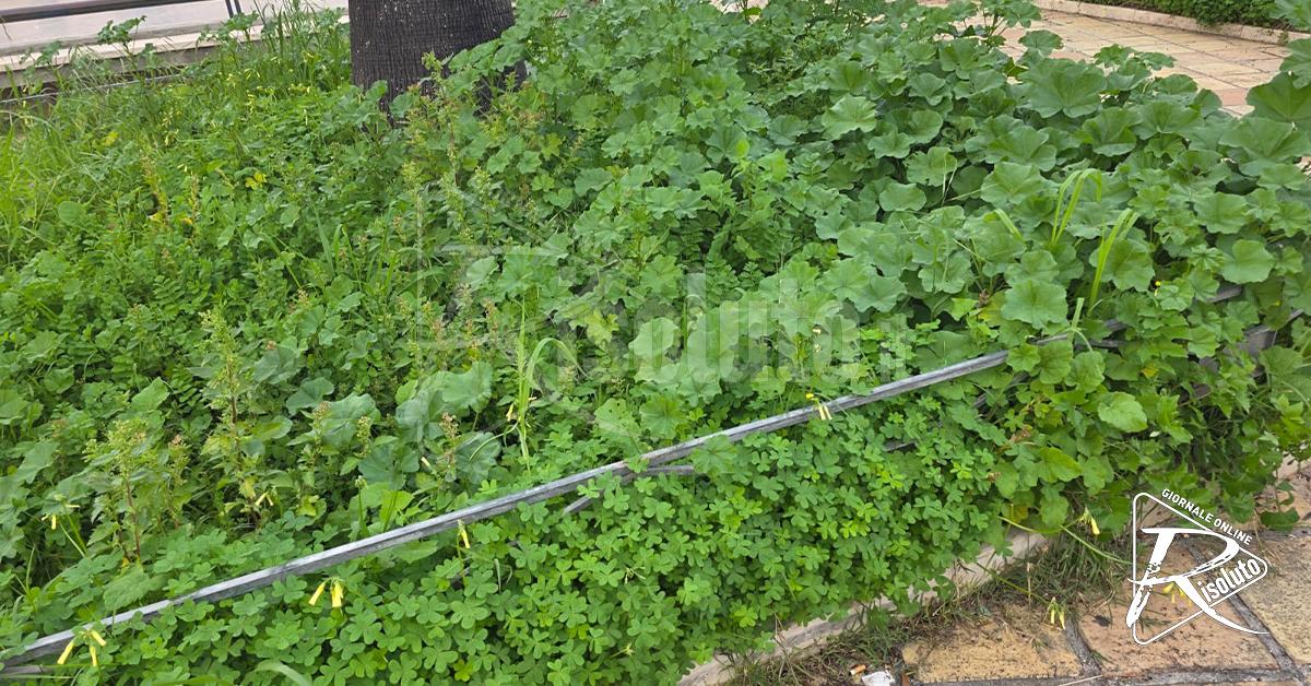Disagi nel quartiere San Michele a Sciacca, l’ira di Santangelo