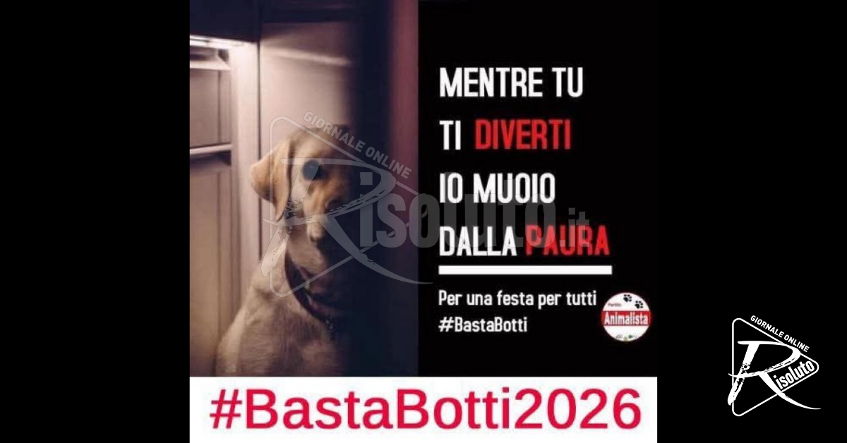 Botti di fine anno, una tradizione che causa sofferenza