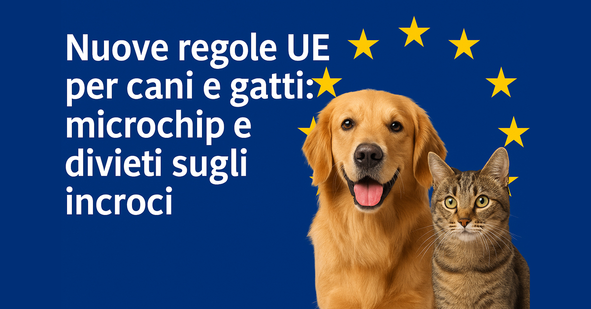 Cani e gatti, in arrivo nuove regole UE: microchip obbligatorio, stop agli incroci rischiosi e controlli più severi sulle importazioni