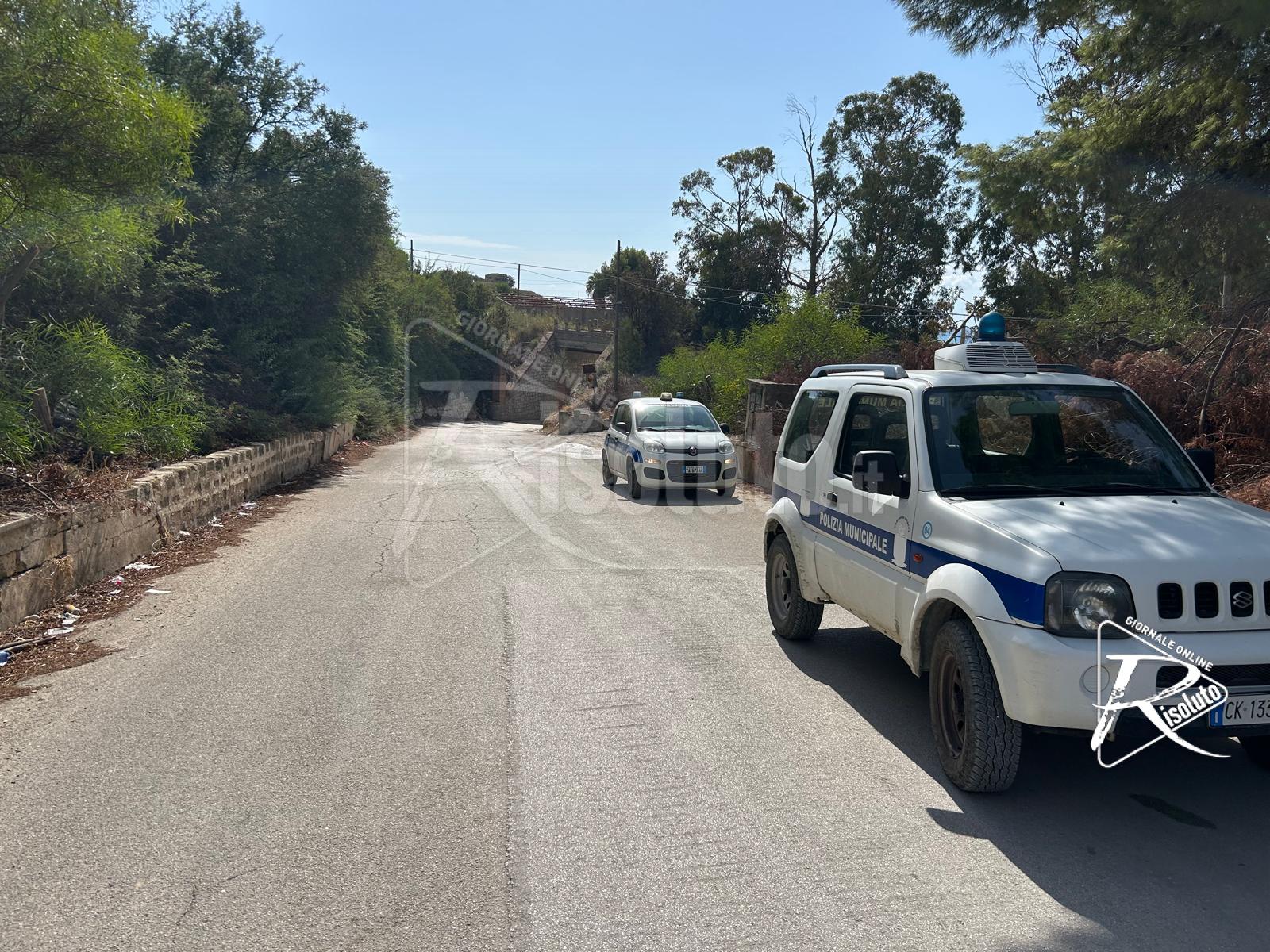 Esclusi colpi di arma da fuoco per uccidere due cani nella contrada Muciare di Sciacca