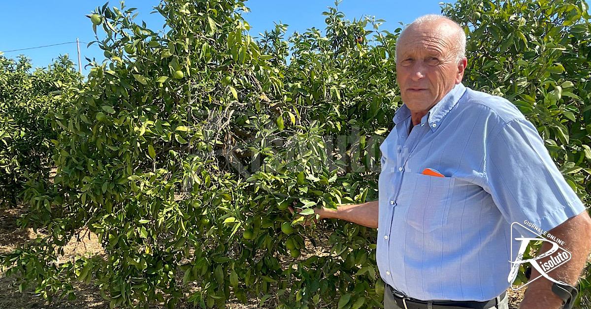 Motopompe ancora ferme, gli agricoltori di Ribera chiedono interventi al Consorzio Ag3
