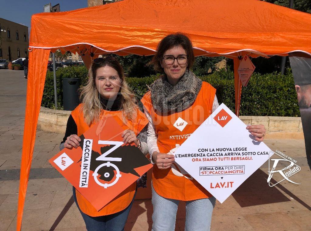 Botti di Capodanno a Sciacca, la Lav attacca l'amministrazione: "Delusione e incoerenza"