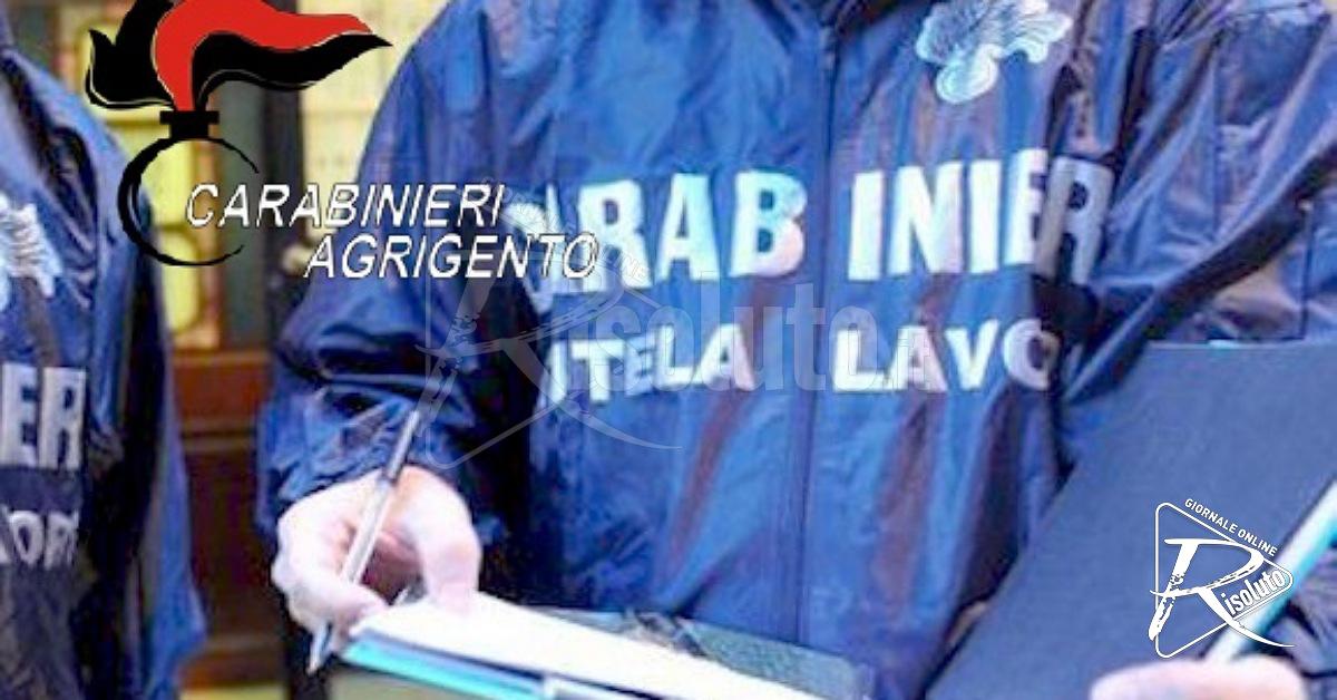 Caltabellotta, lavoratori in nero e gravi irregolarità: denunciato il titolare di un’azienda agricola