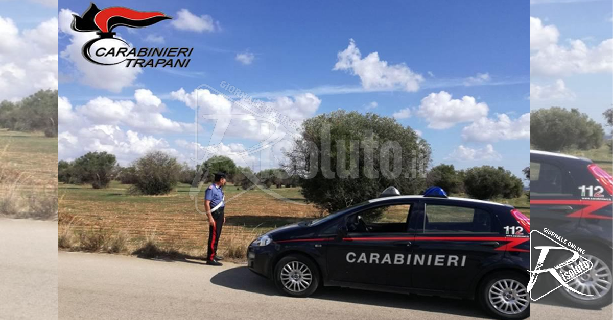 Furto di olive, denunciati due stranieri